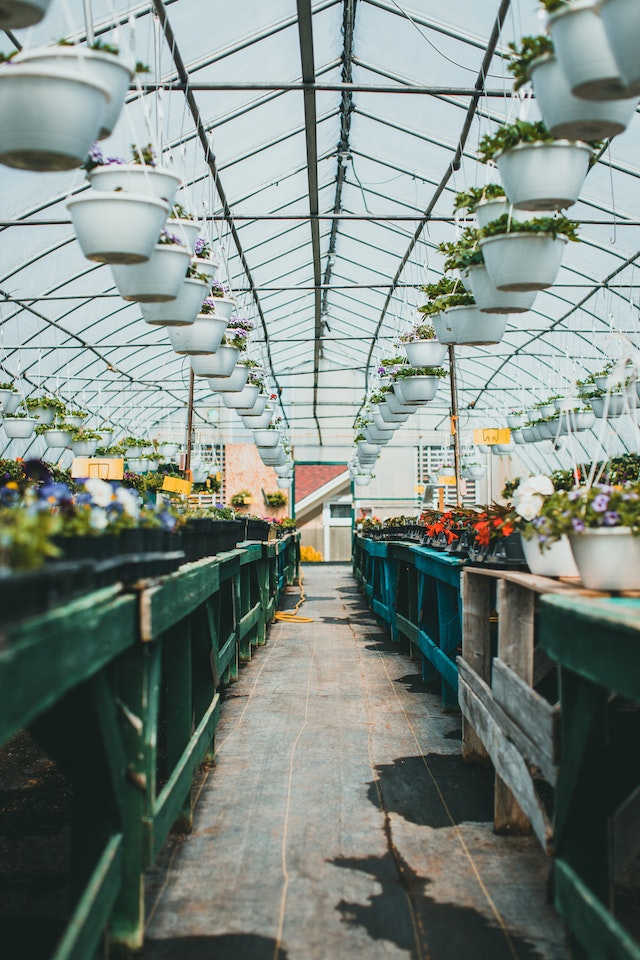 Gartenarbeit als Stressabbau: Entspannung durch Erdkontakt